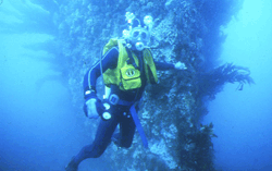 Image of A diver with the Eliza Ramsden wreck